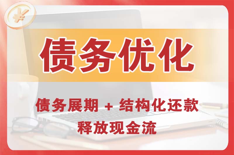 兴田债务优化